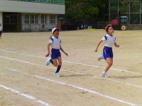 SUNP0830