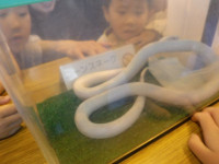 DSCF8465