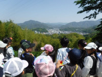 DSCF8497