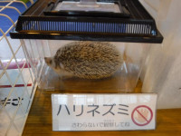 DSCF8469