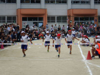 DSCF3877