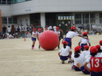 DSCF3922