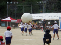 DSCF3923