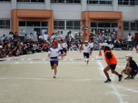 DSCF3931
