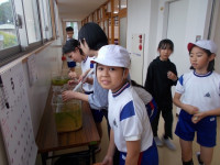 DSCN0504