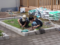 DSCN0526