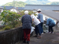 DSCN0533