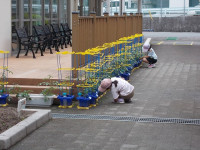 DSCN0348