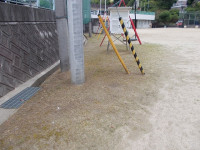 DSCN0368