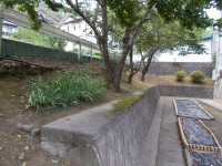 DSCN0369