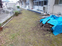 DSCN0371