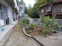 DSCN0372