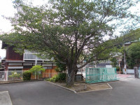 DSCN0373