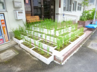 P1070979