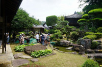 DSC04311