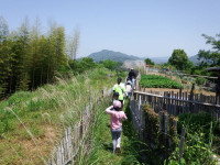 DSCF3081