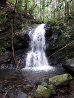 DSCF3165