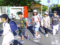 SUNP0606