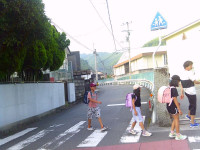 SUNP1309