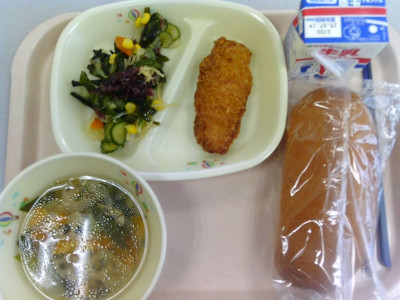 SUNP1630