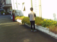 SUNP0817