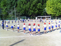 SUNP1310