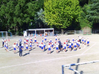 SUNP1312
