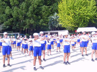 SUNP2006