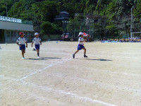 SUNP2115