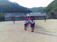 SUNP2331