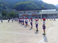 SUNP2340