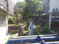DSCN0417