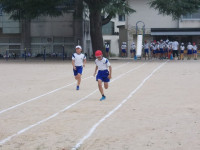DSCN0484